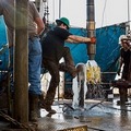 ราคาน้ำมัน WTI พุ่งไม่หยุด ล่าสุดทะยานกว่า 21% เหนือ 16 ดอลลาร์