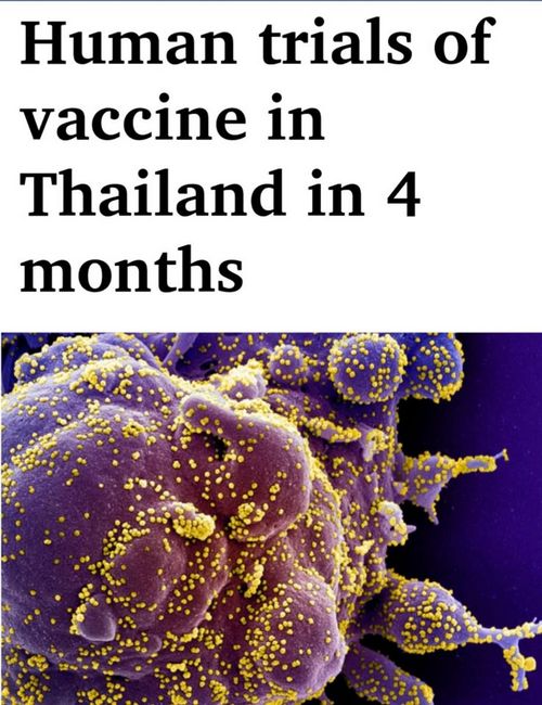 "คนไทย​10,000 คน: จะถูกทดลองยาต้านไวรัสโควิด19​ในอีก​ 4 เดือน"