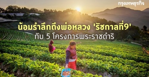 13 ตุลาคม 'วันคล้ายวันสวรรคตรัชกาลที่9' ชวนตามรอยพ่อ 5 โครงการพระราชดำริ