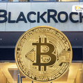BlackRock โกยเงินคริปโต Q2 ทะลุ $14 พันล้าน โต 366% ในไตรมาสเดียว!