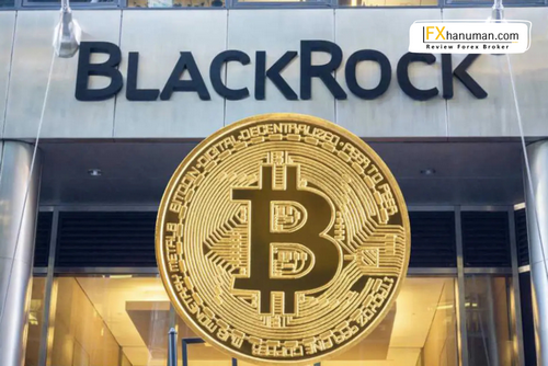 BlackRock โกยเงินคริปโต Q2 ทะลุ $14 พันล้าน โต 366% ในไตรมาสเดียว!