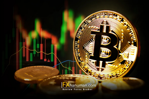 วงจร 4 ปี Bitcoin ยังไม่ตาย? นักวิเคราะห์ชี้อาจเหลืออีก 100 วันก่อนแตะจุดพีค