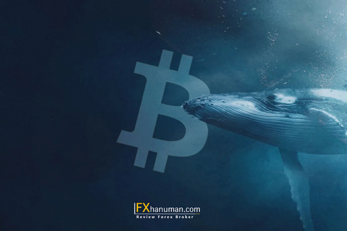Bitcoin ลุ้นแนวรับ! วาฬโอนเข้า–USDT ทะลัก บอกใบ้ทิศทาง BTC ระยะสั้น