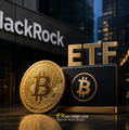 13 มิ.ย. 69 12:30 BlackRock ยื่นแบบ 8-A เตรียมเปิดตัว Bitcoin ETF สายปันผล คาดเริ่มซื้อขายสัปดาห์หน้า