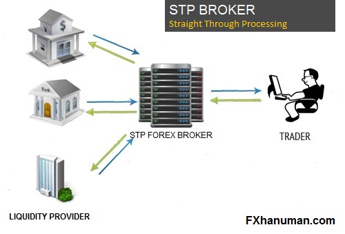 STP Brokers